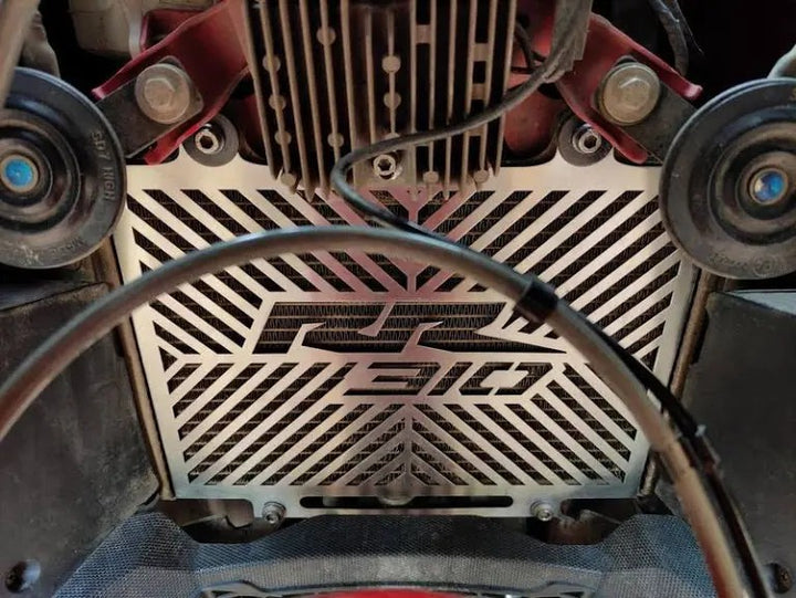 Premium Metal Radiator Guard for TVS Apache RR 310 Silver | SKD BIKE ...