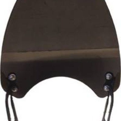 Visor for FZX