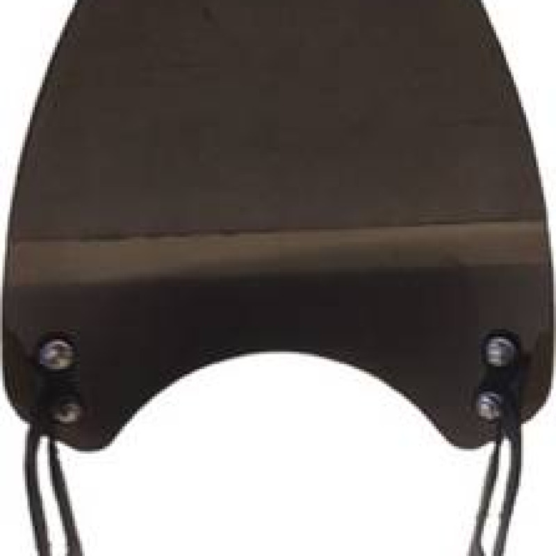 Visor for FZX