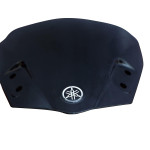 Visor for FZS