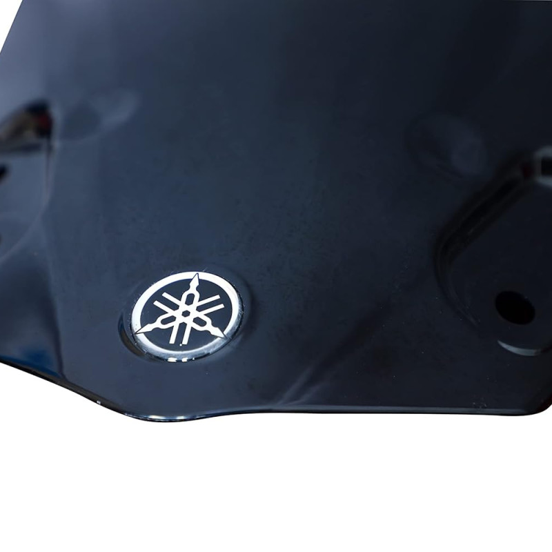 Visor for FZS