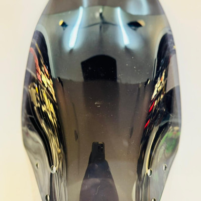 VISOR FOR XPULSE200/200T