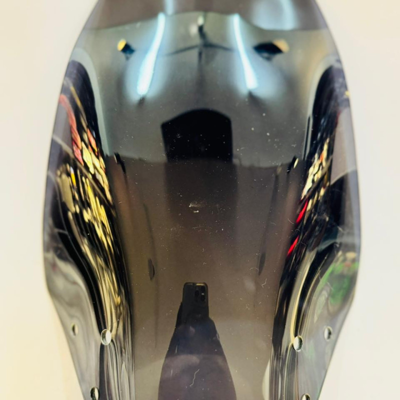 VISOR FOR XPULSE200/200T